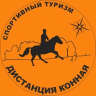 Соревнования городского округа Самара по спортивному туризму (дистанция-конная)